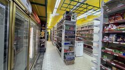 Opera Estate (D15), Shop House #568248911